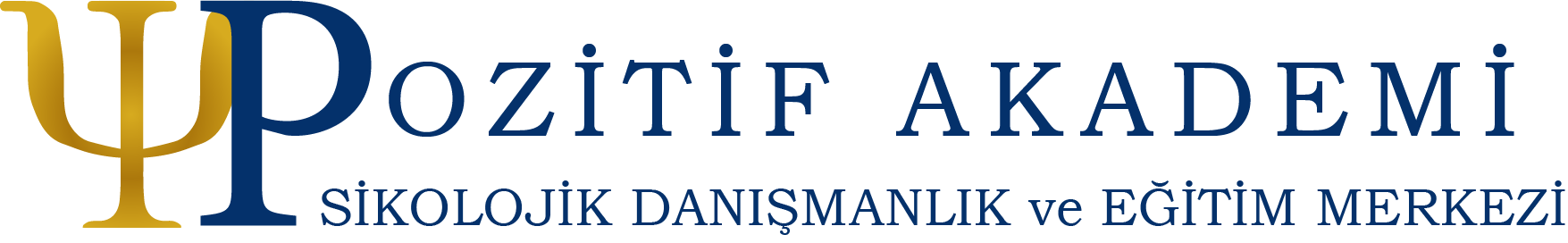Pozitif Akademi